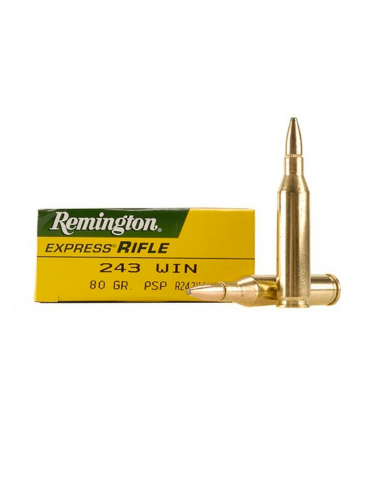 BALA REMINGTON  CAL.243 80 GR CORELOKT
