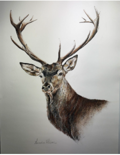 Cuadro Enmarcado Manuela...