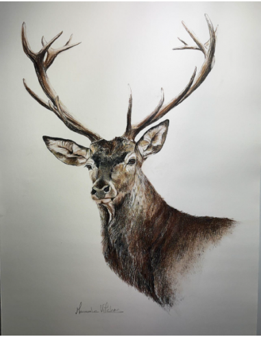 Cuadro Enmarcado Manuela Vilches...