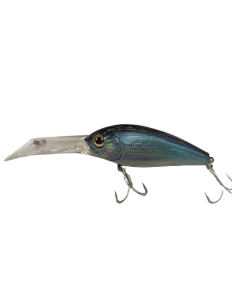 Jackson-Quon Blankl shot...