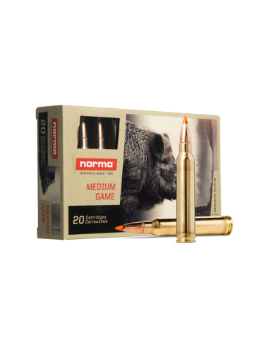 Bala Norma tipstrike cal 300 de 170 gr