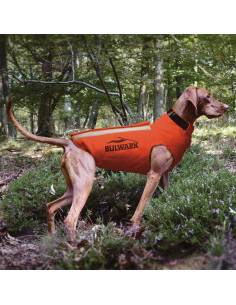 Chaleco protector para... 2