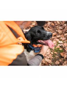 Collar Antiladridos Canicalm 2