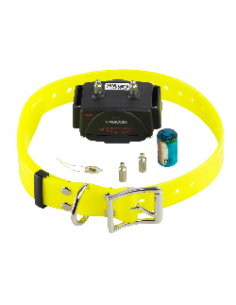 Collar adicional Canicom...