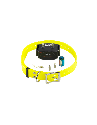 Collar Adicional Canicom Amarillo