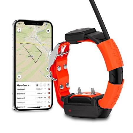 Collares GPS